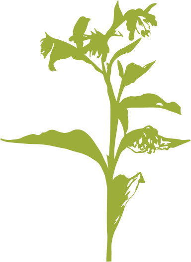logo element